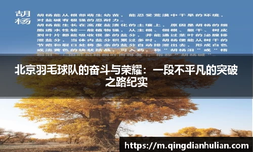北京羽毛球队的奋斗与荣耀：一段不平凡的突破之路纪实